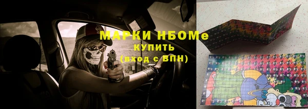 дживик Сосновый Бор