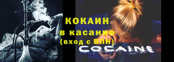 дживик Сосновый Бор