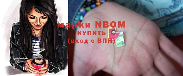дживик Сосновый Бор