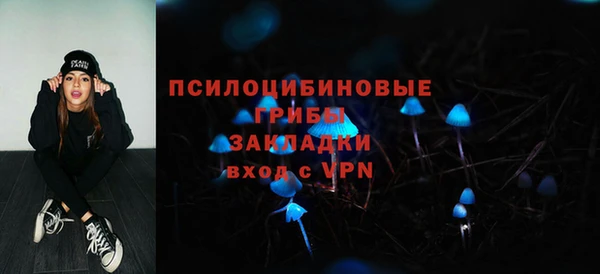 ГАЛЛЮЦИНОГЕННЫЕ ГРИБЫ Сосновка