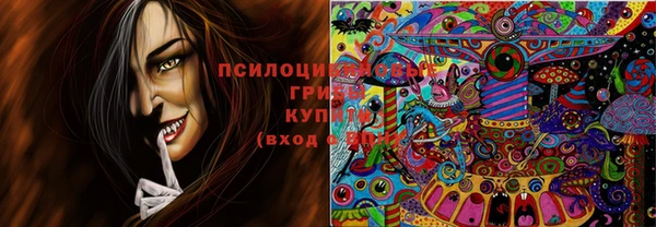 тгк Богданович