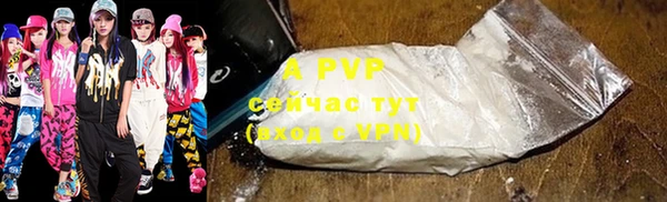 ГАЛЛЮЦИНОГЕННЫЕ ГРИБЫ Сосновка