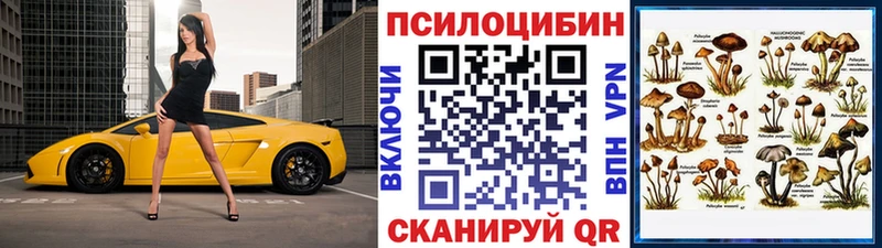 Псилоцибиновые грибы Cubensis  Корсаков 