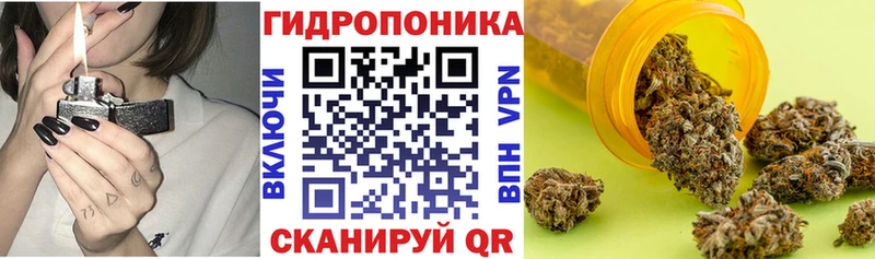 Конопля ГИДРОПОН  цены наркотик  Корсаков 
